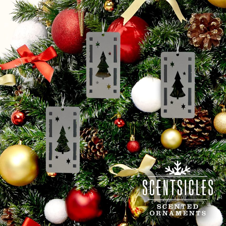 decoration | National Tree Company Scentsicles Trio Ornament Set of 3 Bottle 6pc Stick White Winter Fir F2L4F547